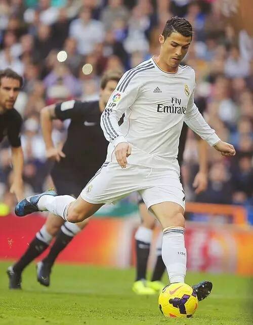 组和精细管 组和精细管