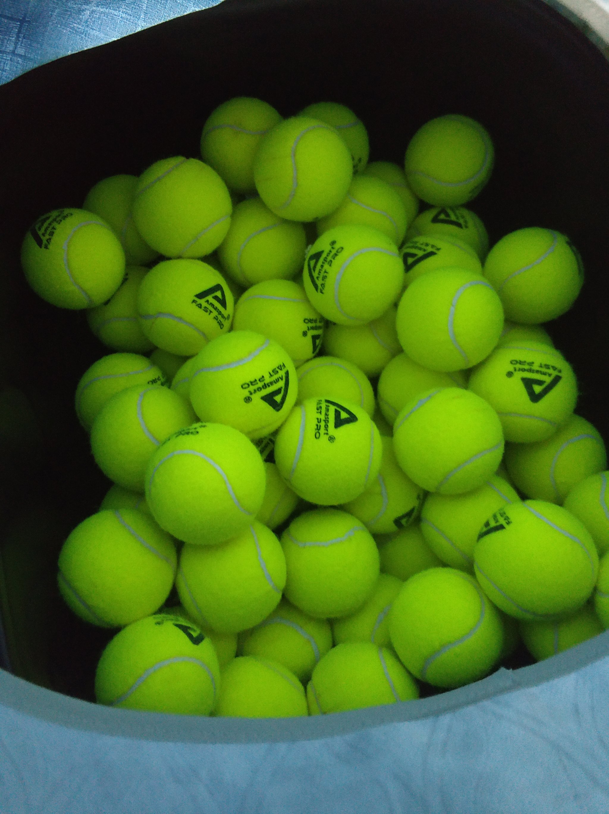 观察了林良 观察了林良